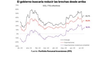 "Nuestro interrogante surgió a partir