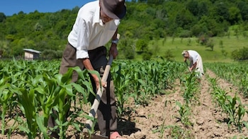 Pequeños productores agrarios recibieron S/