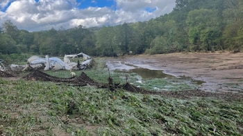 A más de un año del huracán Helene, los agricultores de los Apalaches no logran recomponer sus suelos ni reconstruir su economía