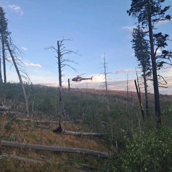 Un helicóptero rojo y blanco vuela bajo en un paisaje boscoso con árboles altos, algunos secos, y arbustos verdes, bajo un cielo con nubes