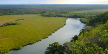 Río entre una gran extensión de marisma de hierba verde clara y un denso bosque verde oscuro. Cielo azul con nubes blancas al fondo