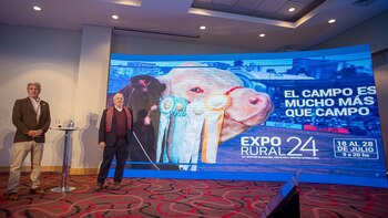 Nicolás Pino, Presidente de la