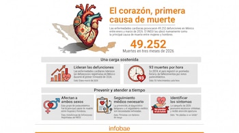 Infografía gráfica con una ilustración de un corazón sobre el mapa de México, junto a textos, cifras como 49.252 e íconos informativos.