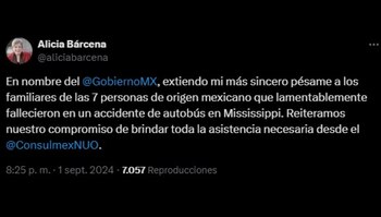 Publicación de Alicia Bárcena, titular