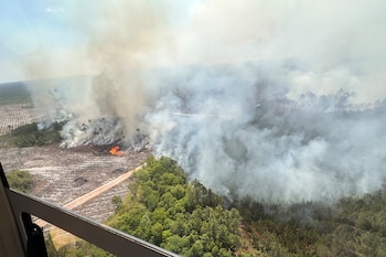 El incendio forestal Highway 82 Fire destruyó más de 22.000 hectáreas en el sur de Georgia, provocando evacuaciones obligatorias y cierre de carreteras. (Oficina del Gobernador Brian Kemp vía AP)
