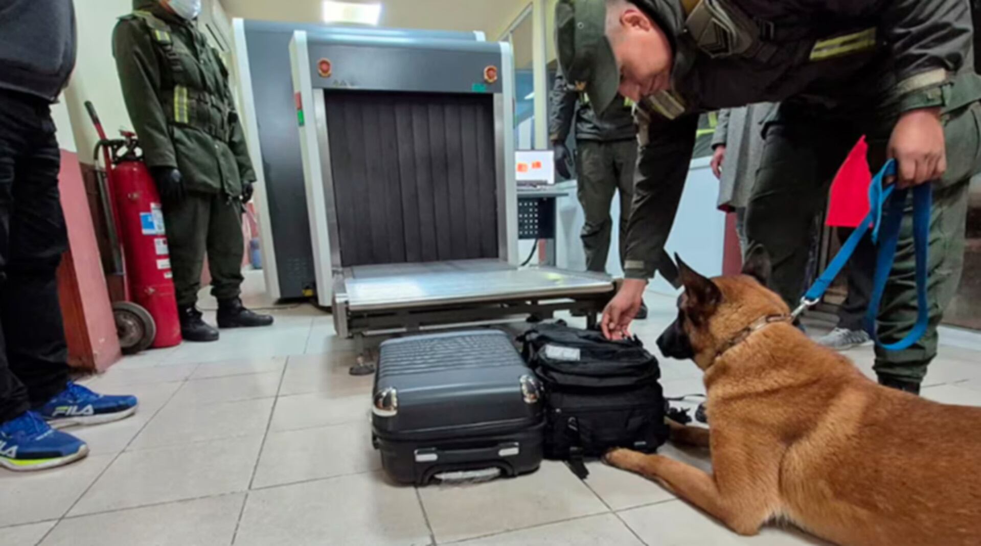 Gendarmería secuestró 20 kilos de droga en una valija y una mochila de un pasajero que viajaba de Formosa a Córdoba (El Doce.tv)