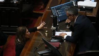 Sin proyectos de peso en agenda, Diputados espera que el Senado destrabe la eliminación de las PASO
