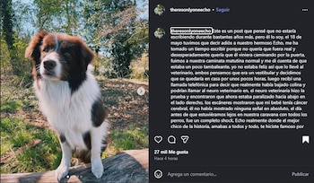 La dueña de Echo relató cómo sucedió la muerte del perro. (Instagram)