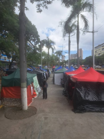 Acera con una fila de tiendas de campaña de colores rojo, verde, azul y negro. Árboles, palmeras, persona, edificios y un vehículo se ven en la escena urbana
