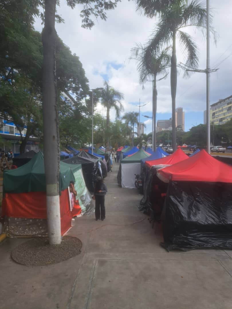 Una fila de tiendas de campaña de múltiples colores se extiende a lo largo de una acera urbana, flanqueada por árboles y edificios altos bajo un cielo nublado. (Infobae)