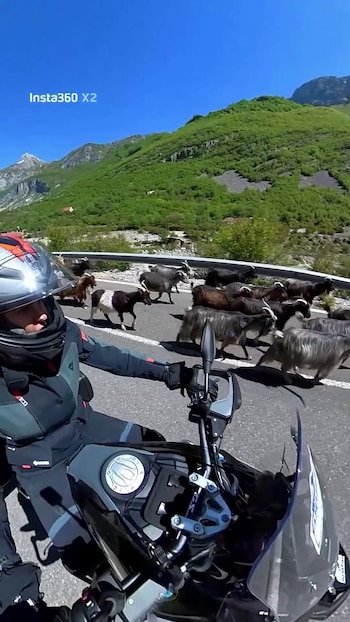 Vista POV de una persona con casco y chaqueta de moto sobre una motocicleta, observando un rebaño de cabras cruzando una carretera de montaña bajo un cielo azul
