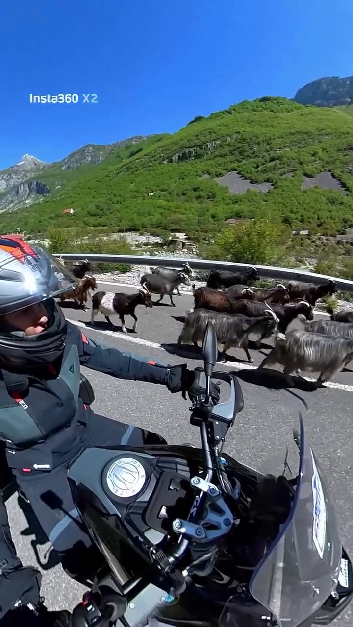 Carolina Baldini, en plena travesía en moto de Croacia a Grecia, se detiene ante un rebaño de cabras que cruza inesperadamente la carretera en un paisaje montañoso.