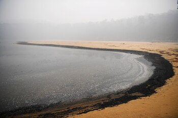 Black ash and fire debris