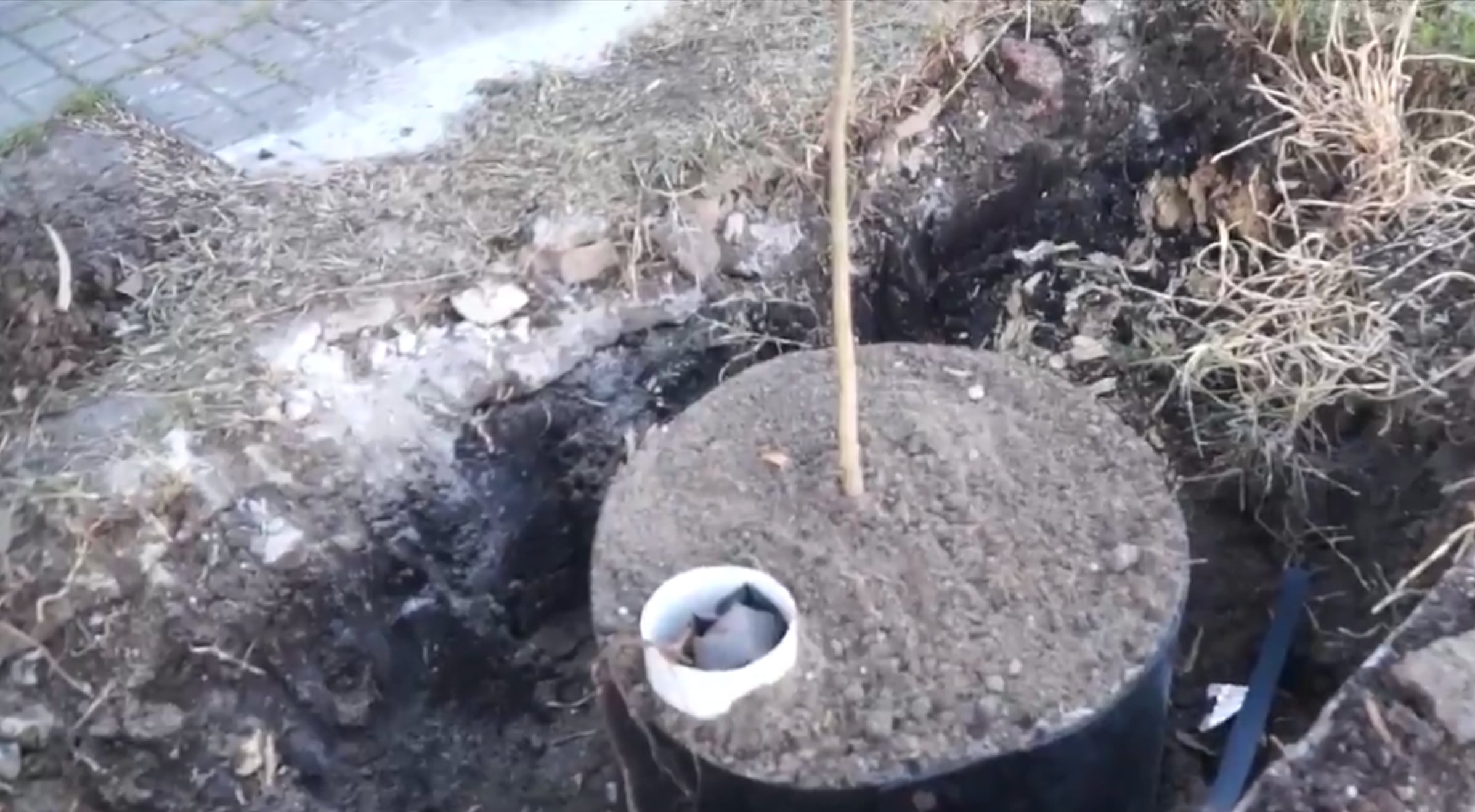 La municipalidad comenzó a ejecutar el Plan Reverdece, una iniciativa que prevé generar infraestructura verde y contribuir a reducir el calor en el verano
