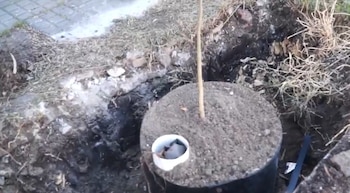 La municipalidad comenzó a ejecutar el Plan Reverdece, una iniciativa que prevé generar infraestructura verde y contribuir a reducir el calor en el verano