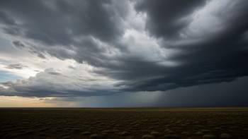 Más de 60 millones de