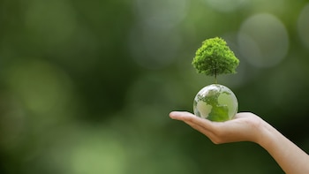 Iniciativa Mipymes Verdes II: diez años de financiamiento y desarrollo empresarial en El Salvador