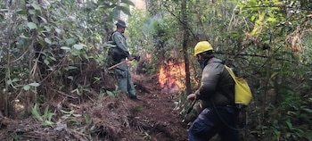 Las evaluaciones preliminares indican que