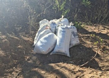 En total fueron hallados 10