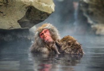 Las bajas temperaturas de Honshu