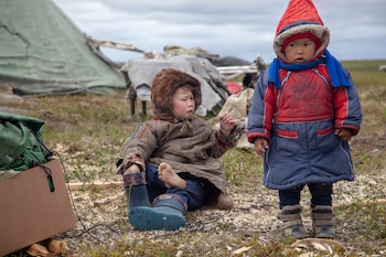 Como la mayoría de los