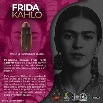 (Foto: Twitter/@@lab_zaragoza)