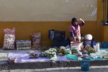 La actriz hizo un llamado