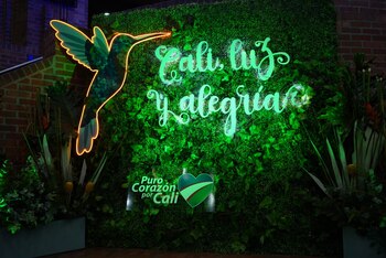 Alumbrado navideño de Cali. crédito