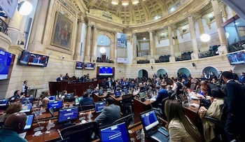 Plenaria Senado de la República