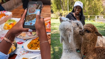 Manos graban comida con celular en una mesa; Simone Biles sonríe mientras alimenta un alpaca blanco con biberón, con un alpaca marrón al lado