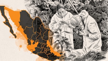 FGR reconoce 32 fosas clandestinas en México frente a 651 que documentaron los estados en 2025, según informe