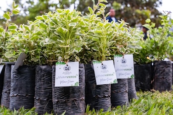 La acción ambiental abarcó plazas y monumentos emblemáticos, incluyendo Gerardo Barrios, Jerusalén y el Monumento a Monseñor Romero.