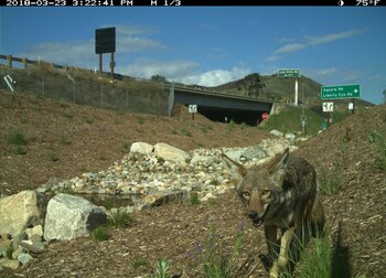La construcción del cruce incluye