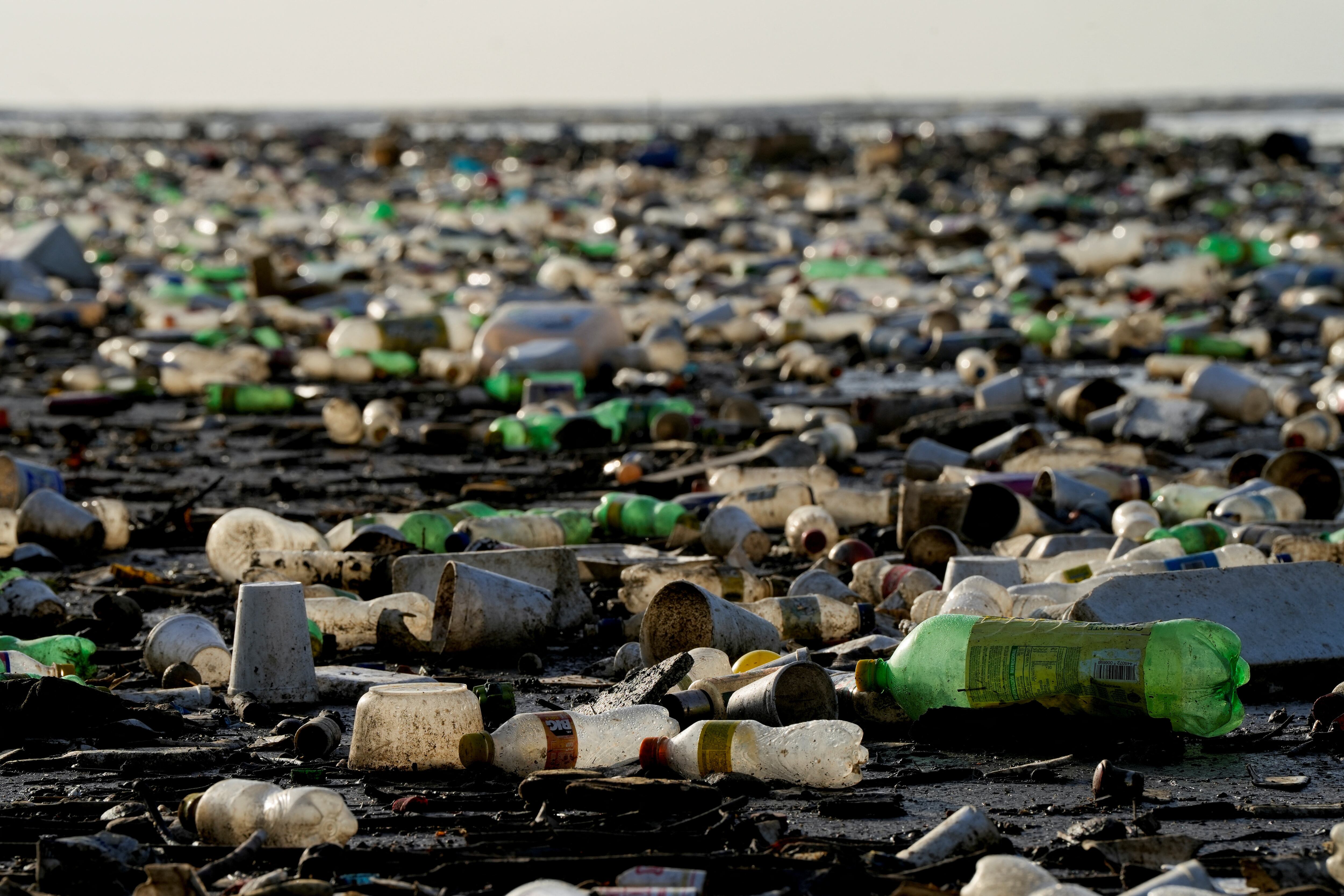 Plástico contaminando una zona de manglares yace en la Bahía de Panamá después de que los países que negocian un tratado global para frenar la contaminación por plástico no llegaran a un acuerdo, en Ciudad de Panamá, Panamá 6 de diciembre de 2024. REUTERS/Enea Lebrun