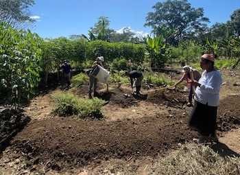 Las comunidades de Oro Chico, Gavilán Canta, Progreso y Shiroles, en la provincia de Limón, enfrentan cambios en los patrones de lluvia y sequía que dificultan las actividades agrícolas tradicionales. Crédito: Asociación de Mujeres Kábata Könana Talamanca Cabécar