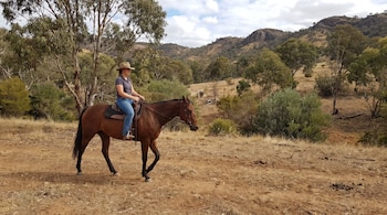 Una mujer con sombrero y camisa gris monta un caballo marrón sobre un terreno de tierra seca rodeado de árboles y montañas.
