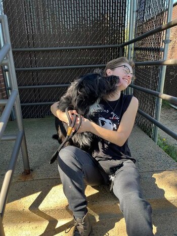 Fue calificado como un perro