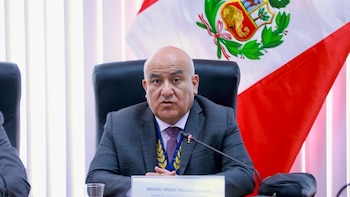 Consejero de la Sunedu postulará