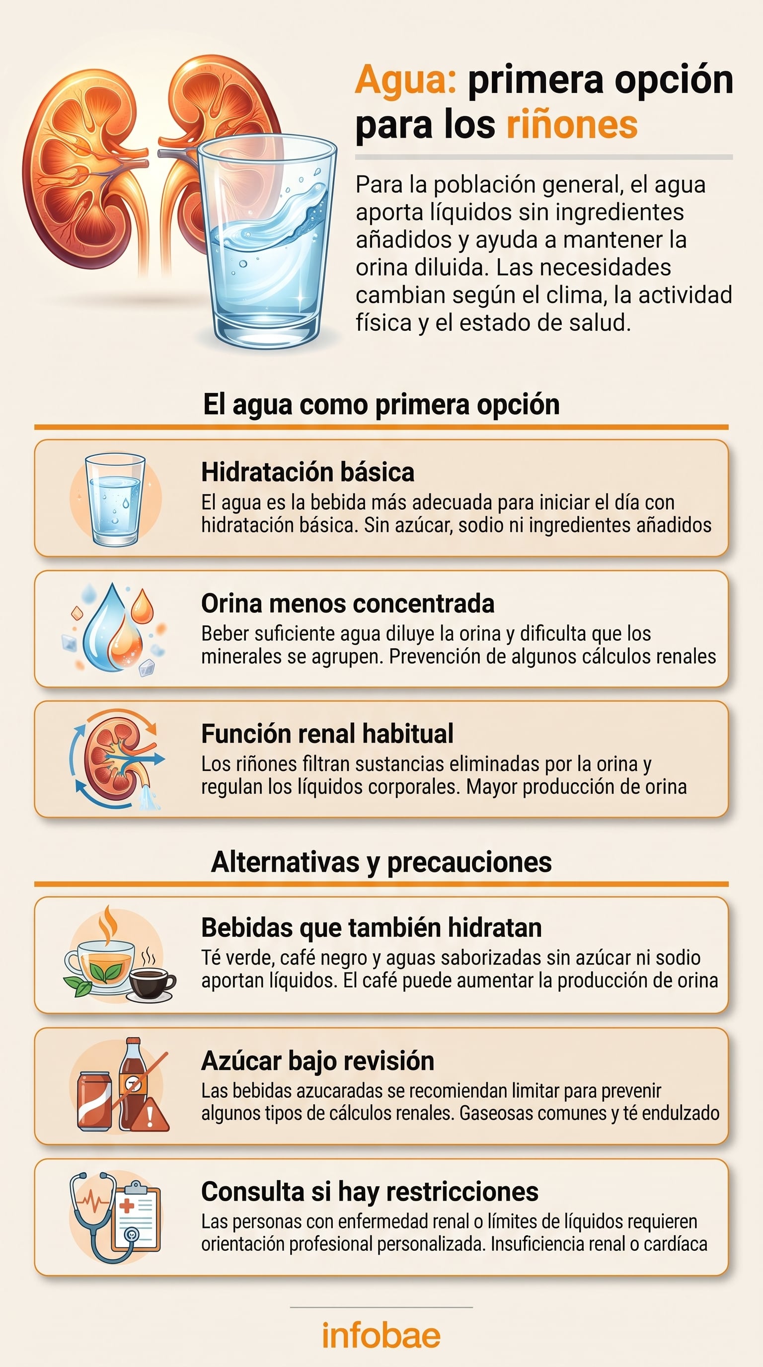 Los riñones requieren un volumen adecuado de líquidos para filtrar los desechos corporales y facilitar la producción de orina (Imagen Ilustrativa Infobae)