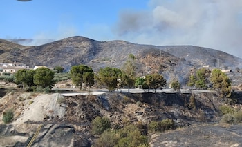 Imagen del terreno afectado por el incendio forestal en Los Gallardos, Almería. (EMA 112/X)
