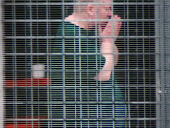 Masacre de Port Arthur