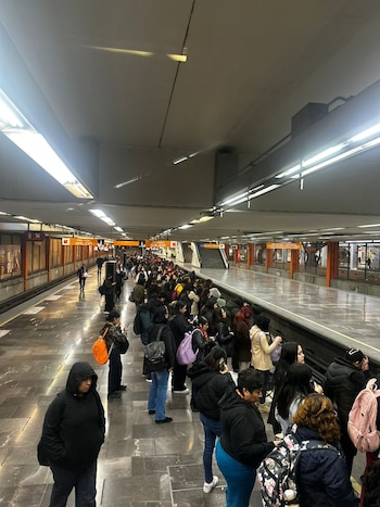 Avance en tiempo real de