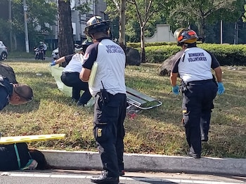 Conductores y residentes del sector alertaron a los cuerpos de socorro tras detectar los cadáveres en el arriate central del bulevar.