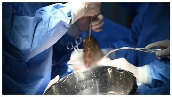 La paciente, proveniente del distrito