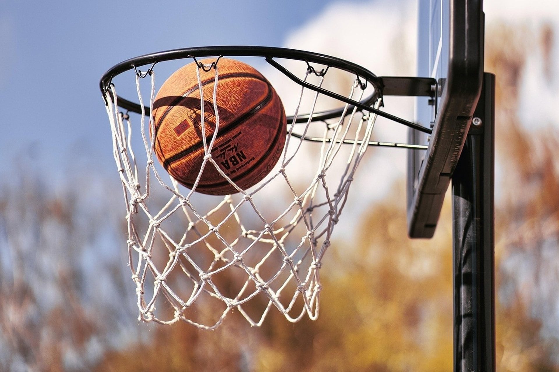 Las universidades online deberán facilitar el acceso a actividades deportivas de sus estudiantes
