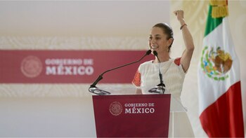 El Tribunal Electoral designó a