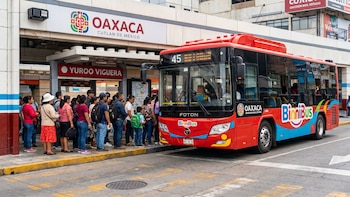 Paso a paso para solicitar tu tarjeta Binnibus 2026: cuál elegir según tus necesidades