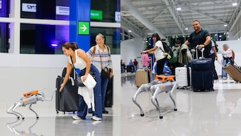 Bartolito, el robot canino ya es protagonista en el aeropuerto de El Salvador