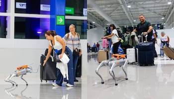 Bartolito, el robot canino presentado en el Aeropuerto Internacional, se incorporó a tareas de seguridad e interacción con pasajeros. (Cortesía: Comisión Ejecutiva Portuaria Autónoma)