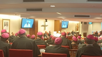 León XIV pide a obispos españoles responder a la "plaga" de los abusos con escucha, verdad, justicia y reparación
